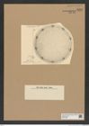 Diatomeae indet. Zeichnungen Sammlung Grunow Nr. 8205 (NHMW-BOT-W0377588)